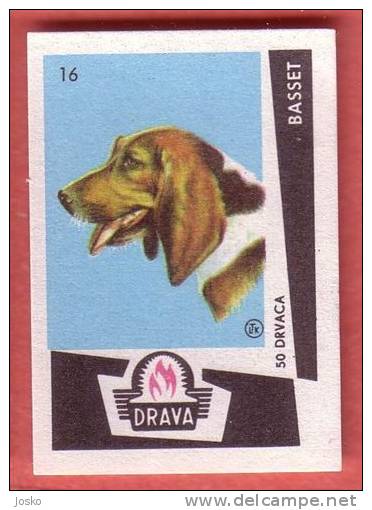 BASSET HOUND - ST. HUBERT HOUND  ( Yugoslavia Matchbox Label  ) Dog Perro Hund Cane Hond Dogs * Etiquette D`allumettes - Cajas De Cerillas - Etiquetas