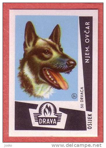 GERMAN SHEPHERD DOG  ( Yugoslavia Matchbox Label  ) Dog Perro Hund Cane Hond Dogs * Etiquette D`allumettes - Matchbox Labels