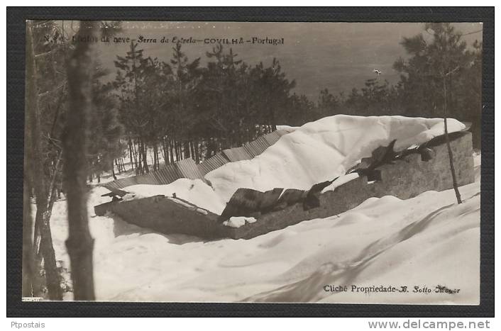 COVILHA (Portugal) - Efeitos Da Neve - Serra Da Estrela - Castelo Branco