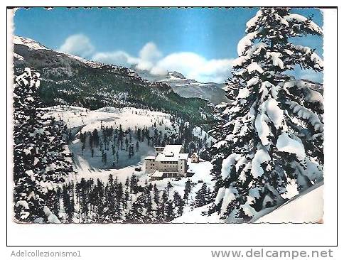 13459)cartolina Illustratoria   Dolomiti - Passo Tre Croci - Lodi