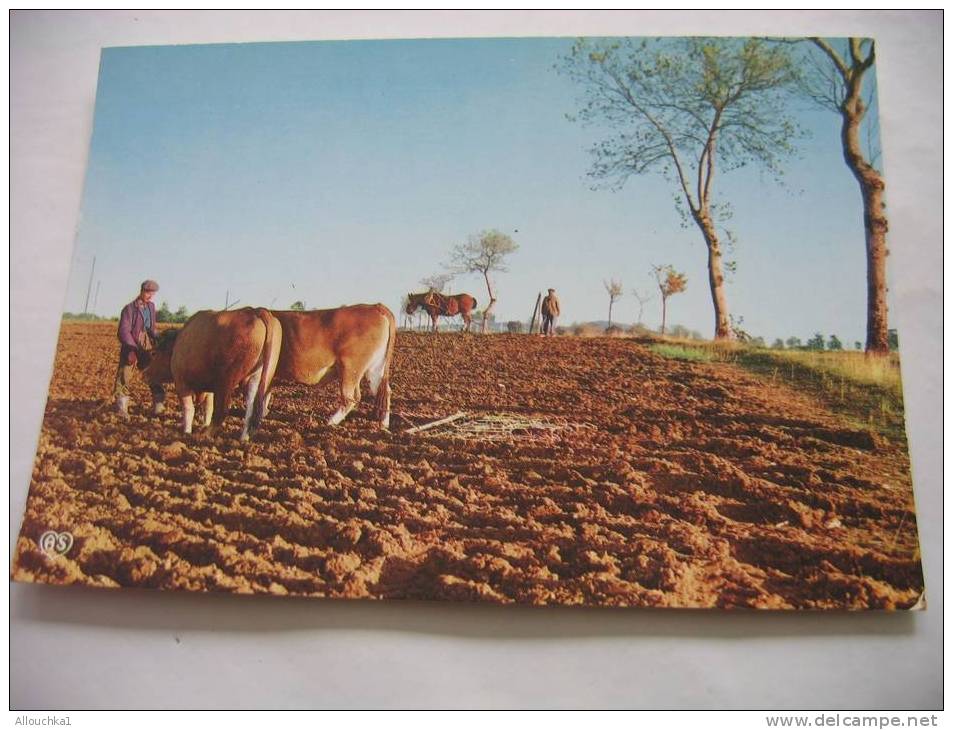 NOTRE BELLE FRANCE  EN PARCOURANT NOS CAMPAGNES -SCENE DE LABOURS- LABOURAGE ET PATURAGES  SONT LES 2 MAMELLES DE LA FRA - Landwirtschaftl. Anbau