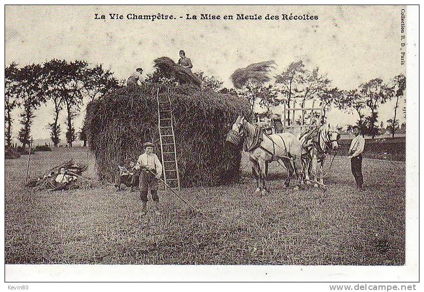 Agriculture La Vie Champêtre La Mise En Meule Des Récoltes (réédition) Cpa Animée - Culture