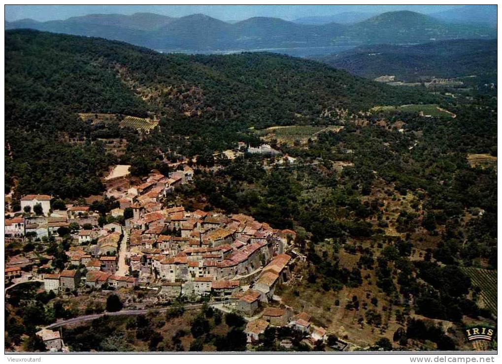 CPSM.  RAMATUELLE. VUE AERIENNE . AU FOND LE GOLFE DE ST TROPEZ. - Ramatuelle