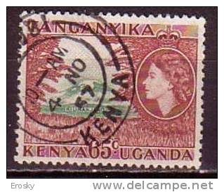 P3493 - BRITISH COLONIES KENYA UGANDA TANGANYKA Yv N°96 - Kenya, Oeganda & Tanganyika