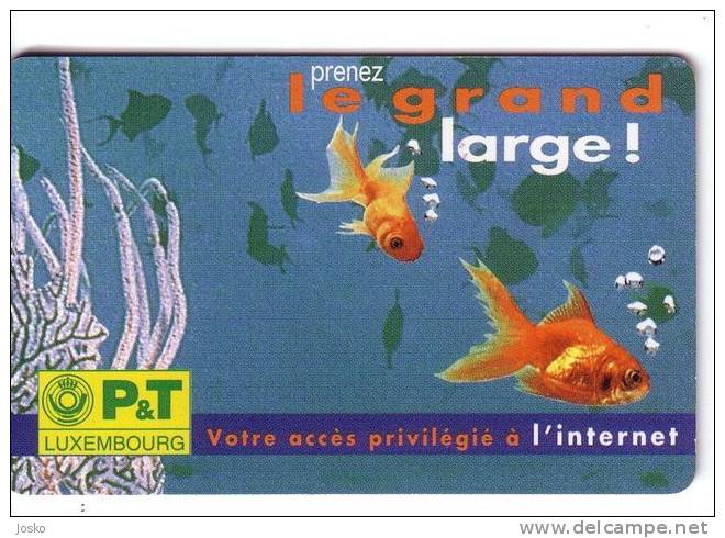 AQUARIUM  ( Luxembourg Card TP09-05/96 ) * Luxemburg 50. Units ( * Acuario Acquario * Fish Poisson Pez Fisch Pesce ) - Luxemburgo