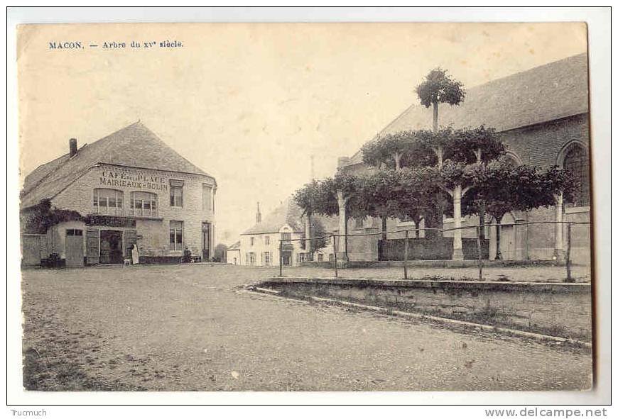 C7851 - MACON - Arbre Du XVè Siècle - Momignies