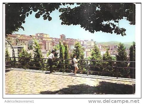 13562)cartolina Illustratoria   Potenza - Vista Da Monte Beale - Potenza