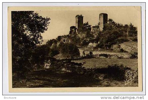 Cpa ARGELEST GAZOST Ruines Du Chateau De BEAUCENS N°260 Ed Quinault - Aragnouet