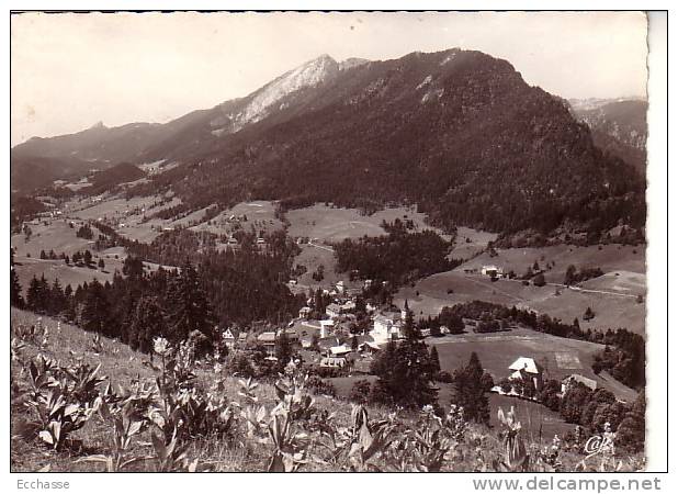 1849 Saint Pierre De Chartreuse Vue Générale Et La Diat - Sonstige & Ohne Zuordnung