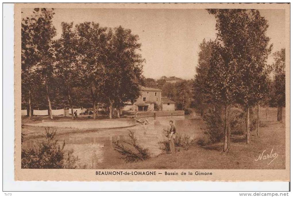 CpE3187 - BEAUMONT De LOMAGNE - Bassin De La Gimone  - (82 - Tarn Et Garonne) - Beaumont De Lomagne