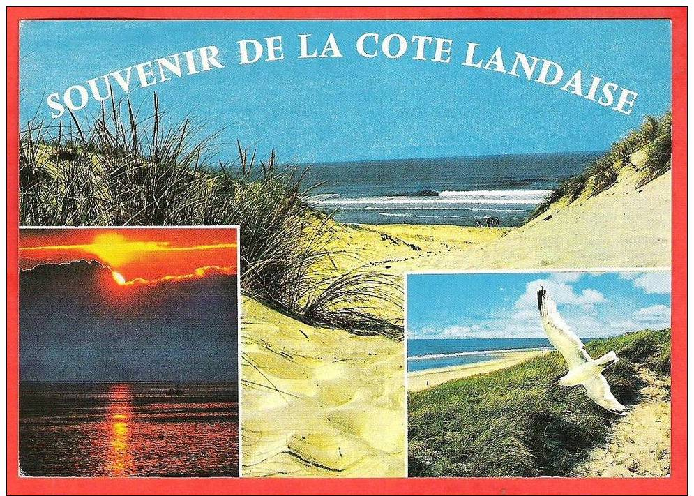 Souvenir De La Cote Landaise 3   Vues  EDT / N°   Chatagneau   3934 - Andere & Zonder Classificatie