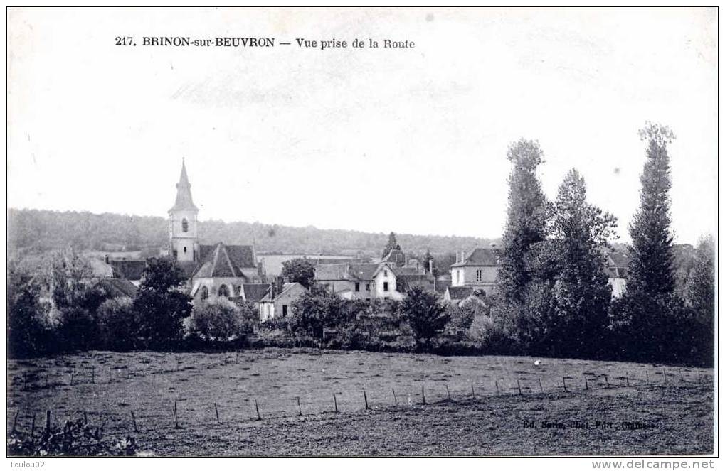 58 - BRINON SUR BEUVRON - Vue Prise De La Route - Excellent  état - Brinon Sur Beuvron