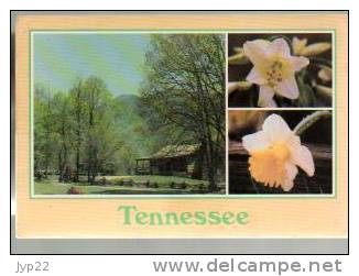 Jolie CP Etats Unis Tennessee Multivue Paysage Fleurs - CAD Nashville 23-03-1993 TP Flying Tigers Chennault - Autres & Non Classés