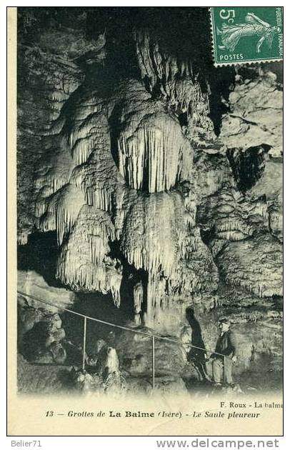 38 / La Balme. Les Grottes. Le Saule Pleureur - La Balme-les-Grottes