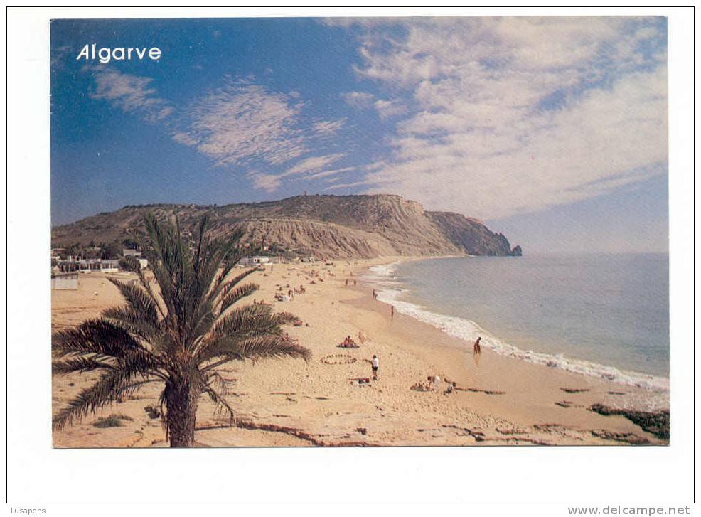 Portugal Cor 2533 – ALGARVE - PRAIA DA LUZ - LAGOS - PALM TREE - Açores