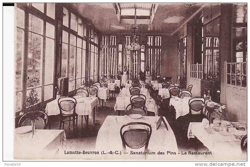 41 LAMOTTE BEUVRON Sanatorium Des Pins - Le Restaurant Animé - Lamotte Beuvron