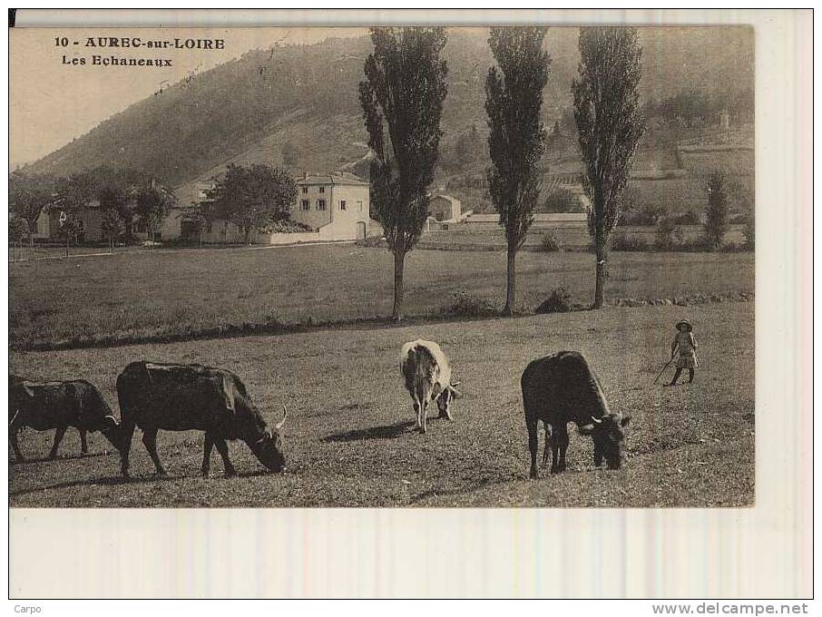 AUREC-SUR-LOIRE. - Les Echaneaux. (Vache) - Montfaucon En Velay