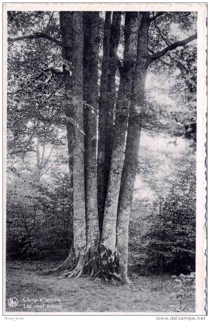 Chiny Sur Semois - Les Neuf Hêtres - Ed Nels 1950 - Dentellée - Circulé - TBE - Chiny