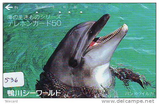 DOLPHIN DAUPHIN Dolfijn DELPHIN Tier Animal (536) * Telefonkarte Telecarte Japan * - Delfines