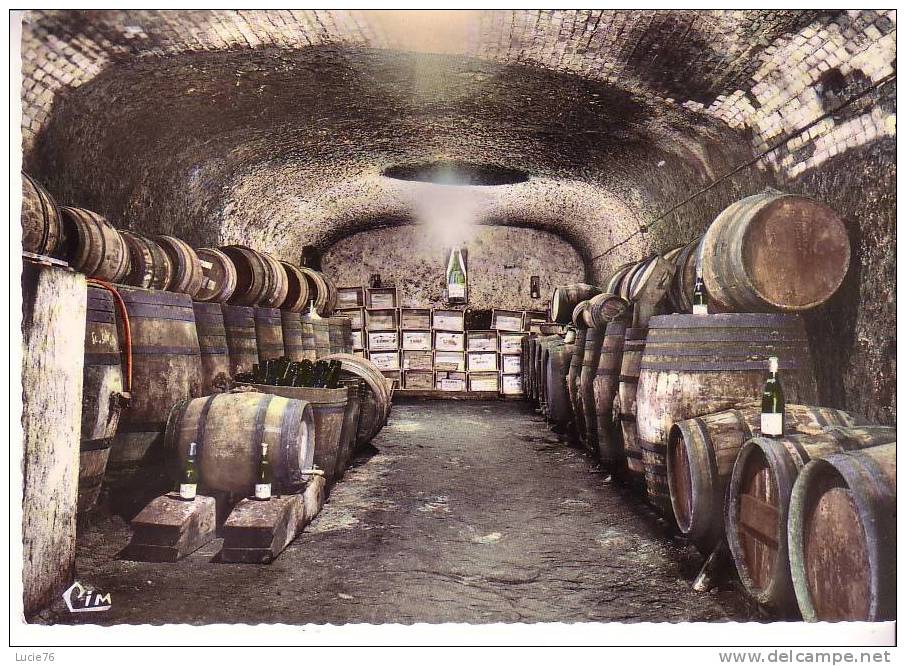 EN TOURAINE  -  Intérieur De Cave  - - Centre-Val De Loire