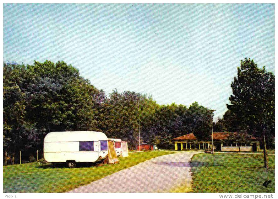 Carte Postale 81.  Mazamet  Le Camping Trés Beau Plan - Mazamet
