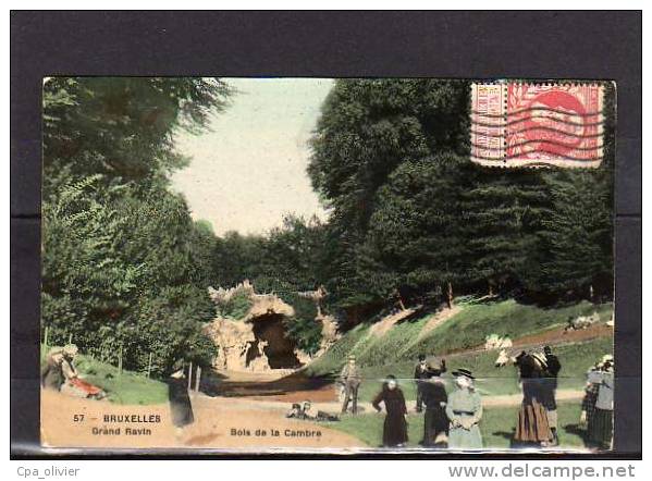 BEL BRUXELLES BRUSSEL Bois De La Cambre, Grand Ravin, Bien Animée, Carte Glacée, Colorisée, Ed GBA 57, 1909 - Bossen, Parken, Tuinen