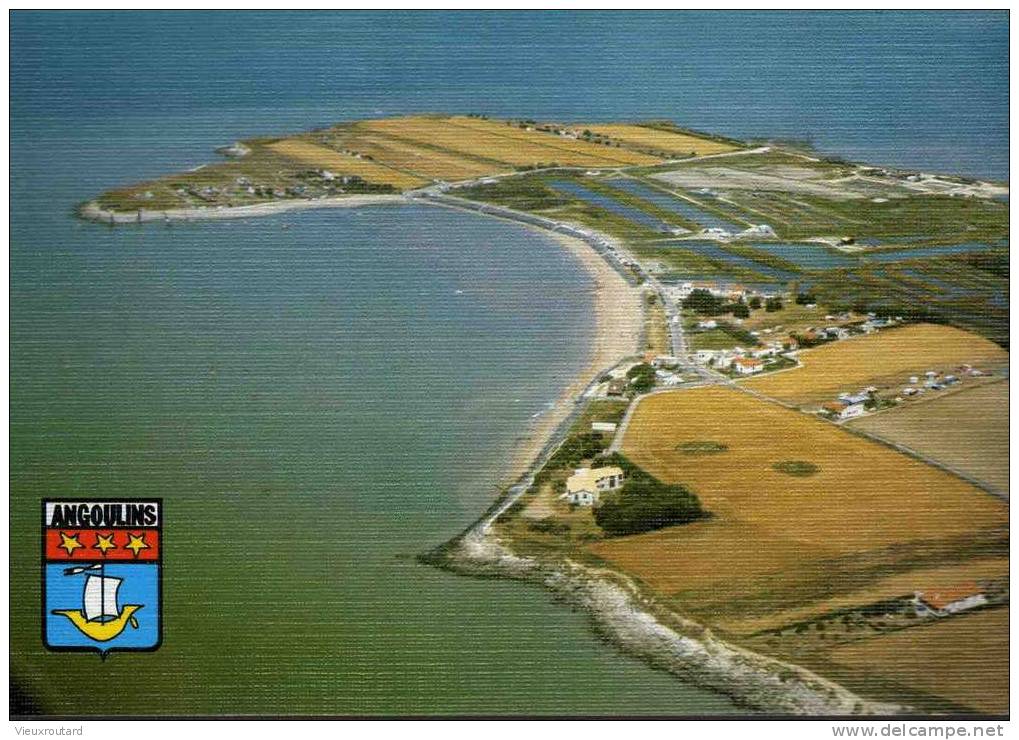 CPSM.  ANGOULINS. LA PLAGE ET LA POINTE DU CHAY. - Angoulins