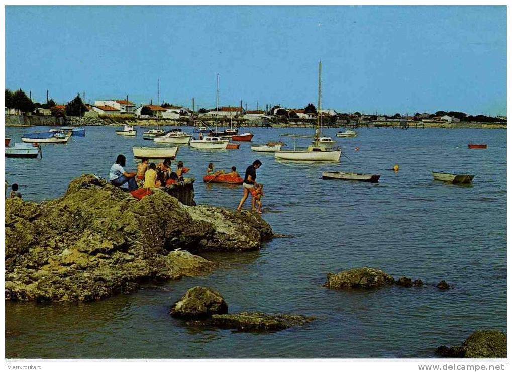 CPSM.  ANGOULINS SUR MER. LE PORT. - Angoulins