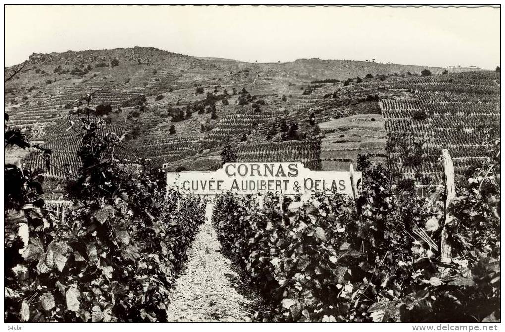 CPSMPF (07) Tournon Sur Rhone  LES VIGNOBLES DE CORNAS DELAS - Tournon