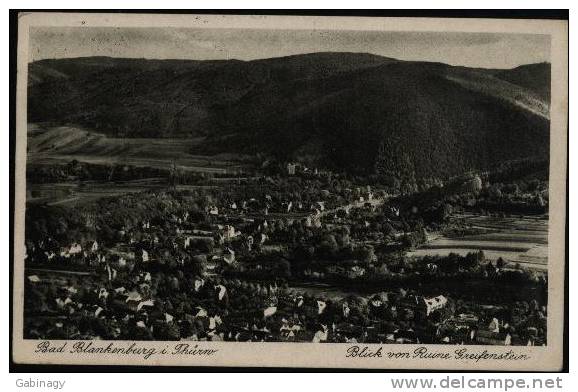 *GERMANY - BAD BLANKENBURG-002 - BLICK VON RUINE GREIFENSTEIN - 1935 - Bad Blankenburg