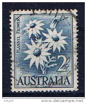 AUS+ Australien 1959 Mi 299 Wollblume - Gebruikt