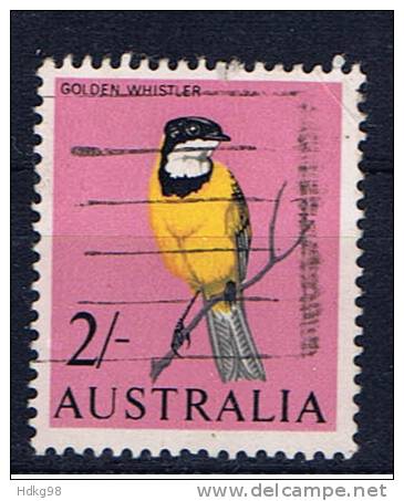 AUS+ Australien 1964 Mi 342 Gelbbauch-Dickkopf - Used Stamps