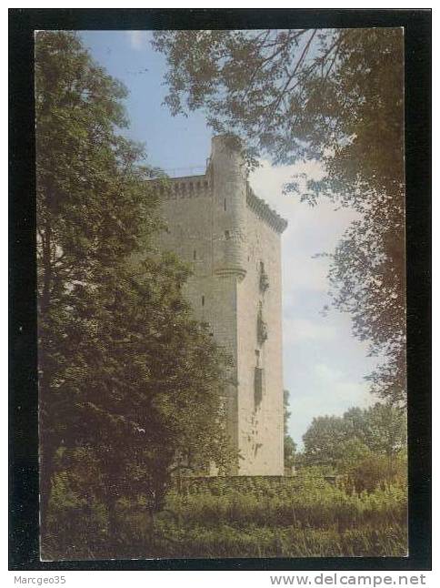 Lesparre La Tour D'honneur ...édit.artaud N° 17 Belle Cpsm - Lesparre Medoc