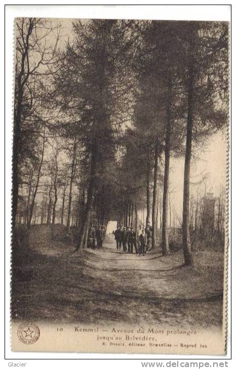 KEMMEL - Avenue Du Mont Prolongée Jusqu'au Belvédère - Heuvelland