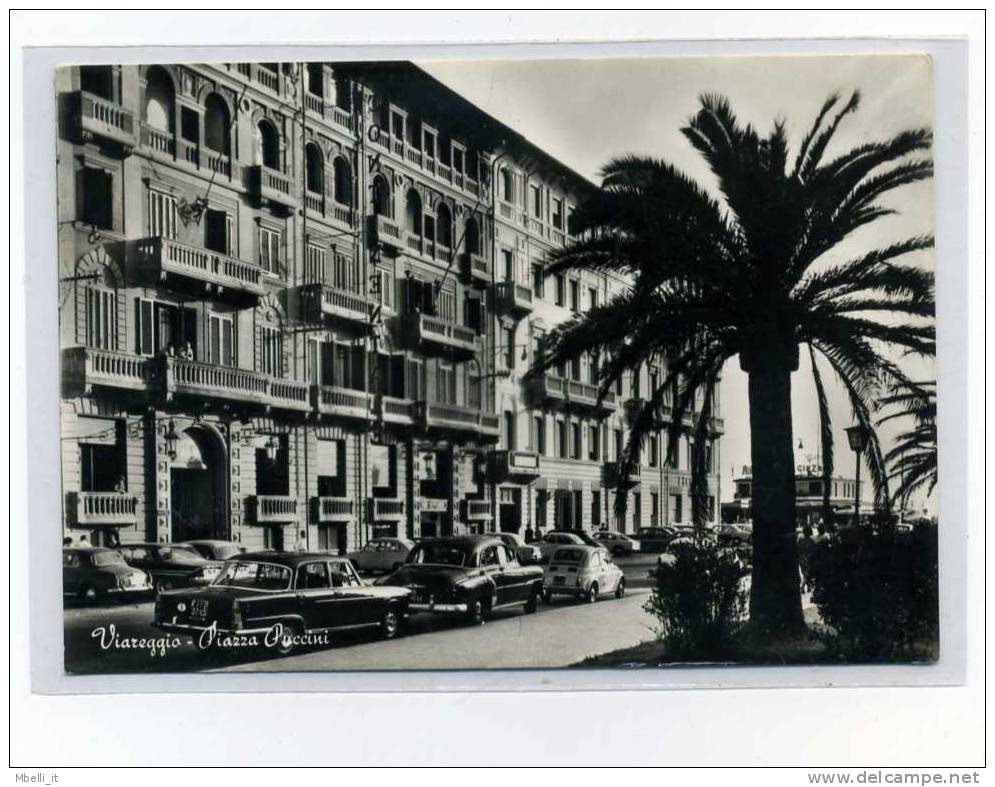 Viareggio - Piazza Puccini Con Auto - 1950c - Bella - Fiat 500 - Viareggio