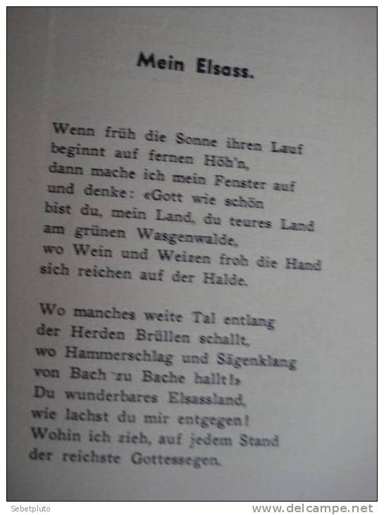 Elsasserleut M Deutsch Alsace Poeme Alsatique 1936 - Poésie & Essais