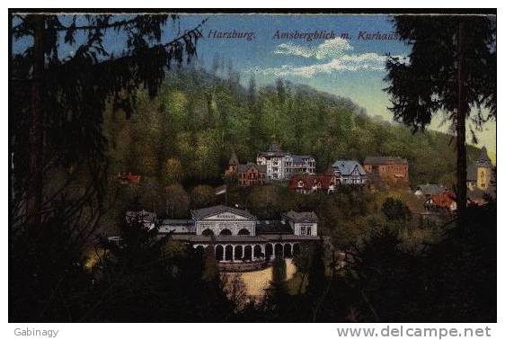 *GERMANY - BAD HARZBURG-002 - AMSBERGBLICK M. KURHAUS - Bad Harzburg