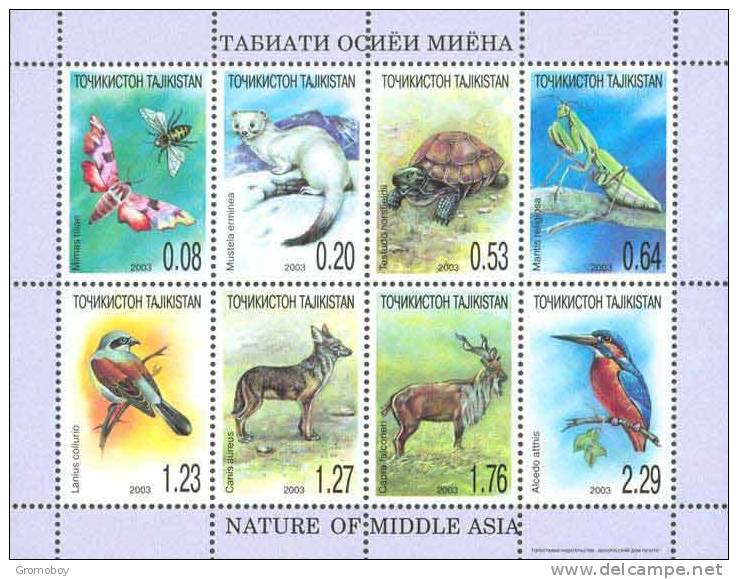 Fauna - Tajikistan