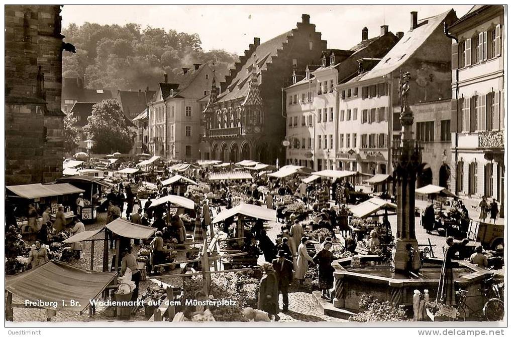 Suisse.TRES BELLE Cpsm De Freiburg.Scène De Marché. - Fribourg