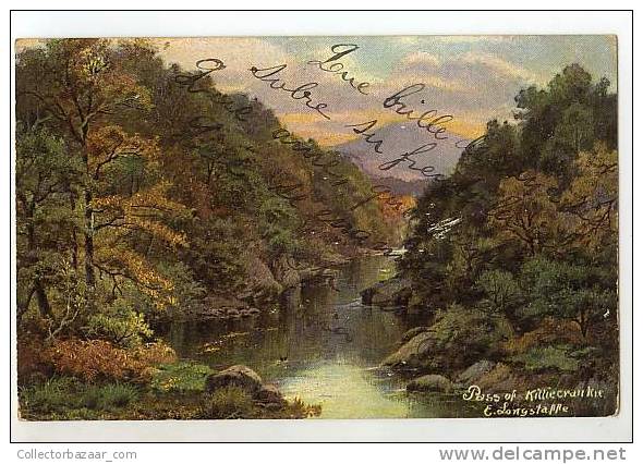 VINTAGE POSTCARD Ca1900 PLANTS FLOWERS LAKE - Otros & Sin Clasificación