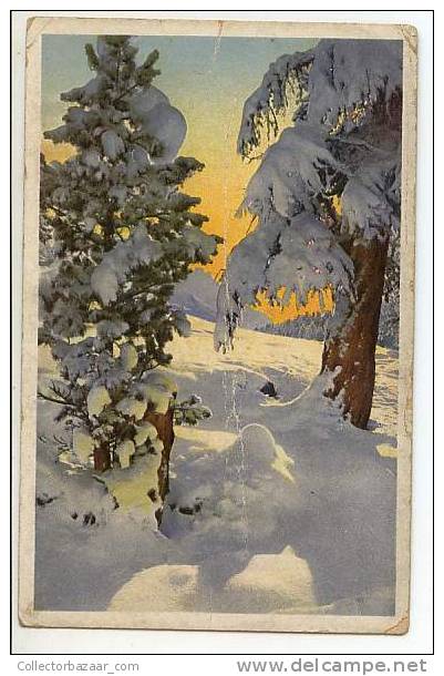 VINTAGE POSTCARD Ca1900 TREE SNOW - Otros & Sin Clasificación