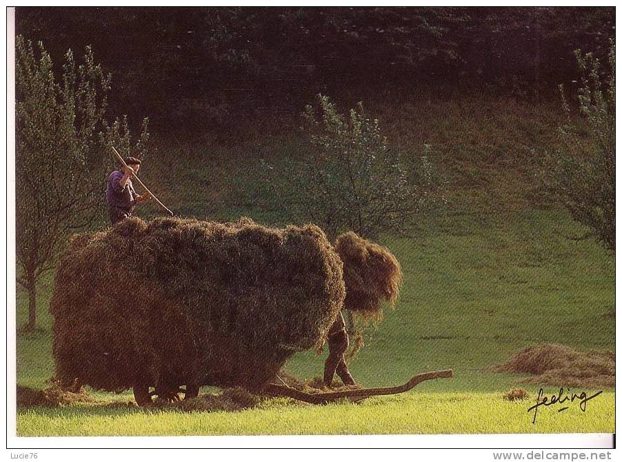 MOISSONS /4 - Photo :     William Albert Allard  -  Série :  Feeling - Combier  - - Farms
