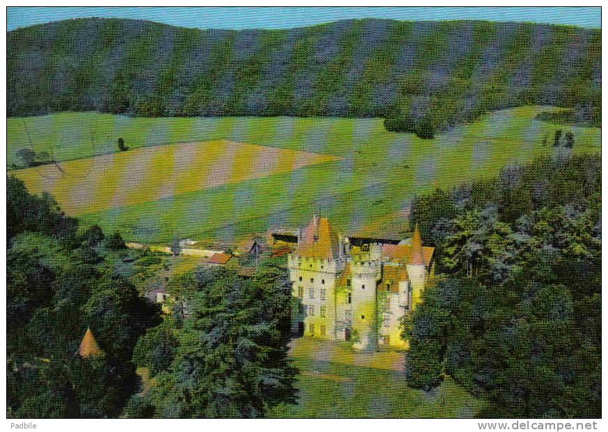 Carte Postale 43.  Chateau De Vedrines Prés De Brioude  Et Lorlanges Vue D´avion   Trés Beau Plan - Brioude