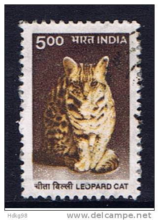 IND+ Indien 2000 Mi 1759 Katze - Usados