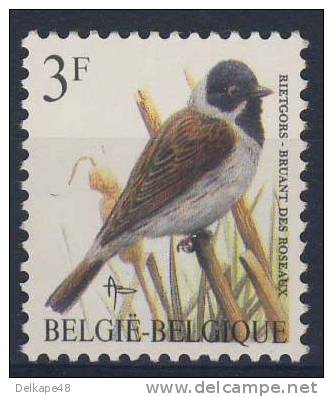 Belgie Belgique Belgium 1991 Mi 2477 YT 2425 ** Emberiza Schoeniclus : Reed Bunting / Bruant Des Roseaux /  Rohrammer - Zangvogels