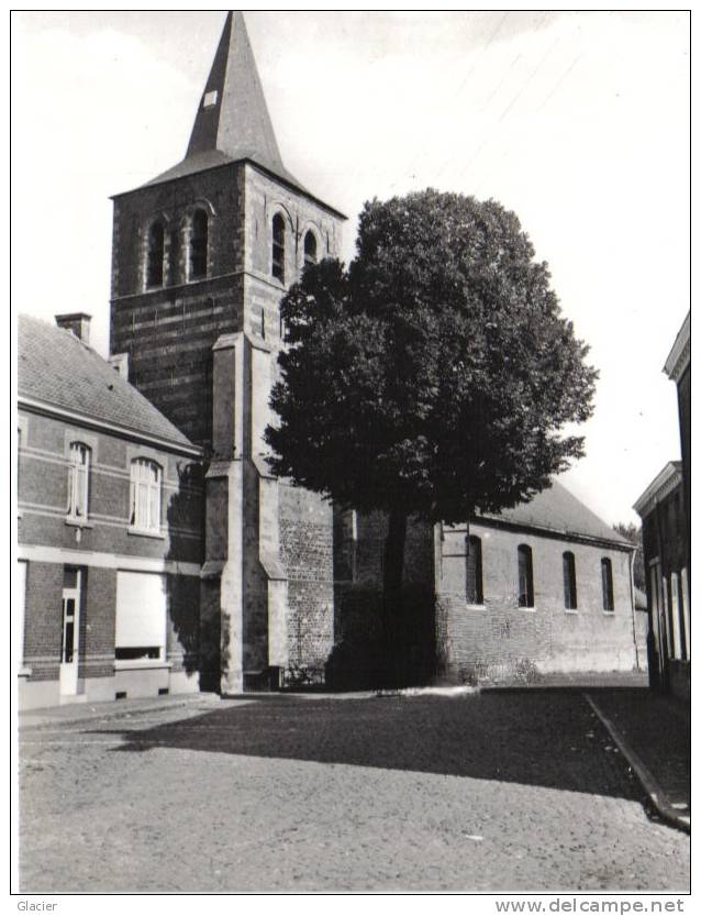 BRAKEL - Elst - St Appoloniakerk - Brakel