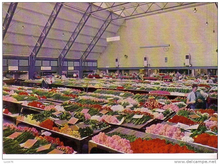 AALSMEER  -  Grande Halle Dans Le Rayon Des Fleurs Coupées - Aalsmeer