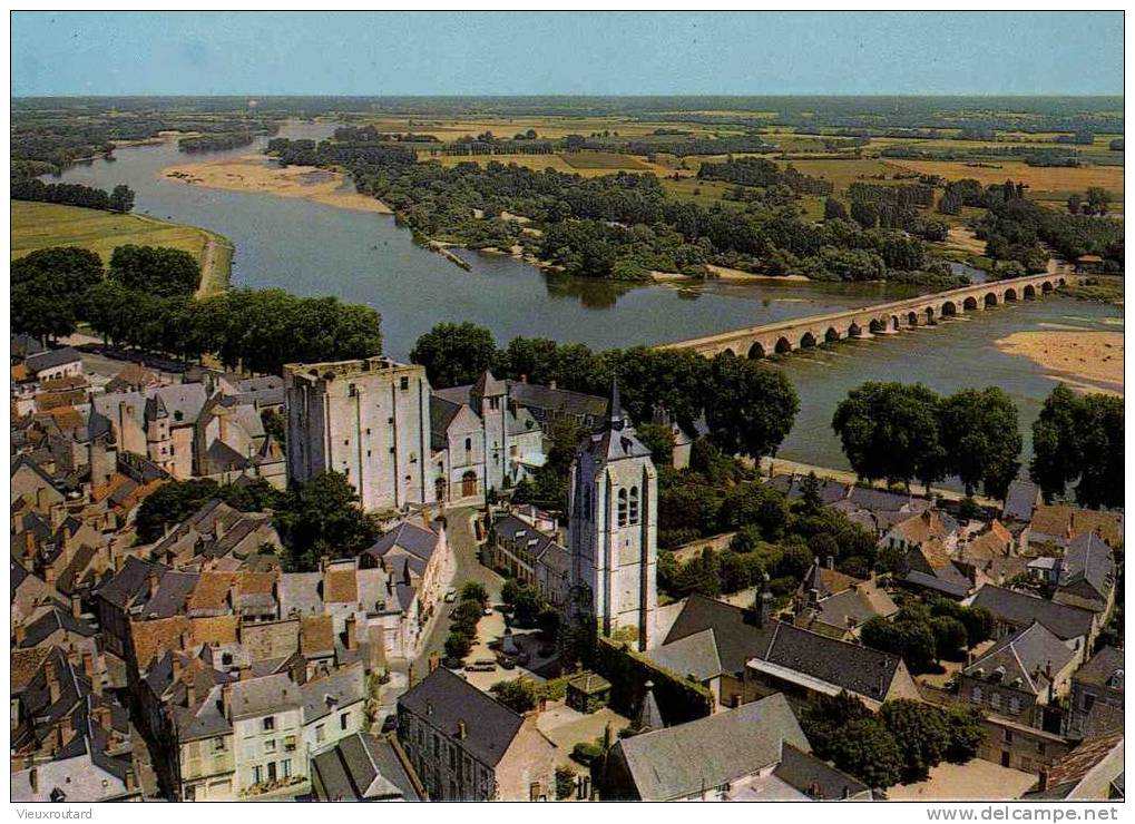 CPSM.  BEAUGENCY. VUE GENERALE ET LA LOIRE. - Beaugency