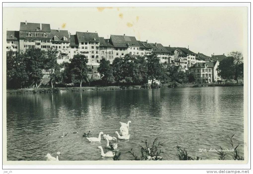 Schweiz/Suisse: AK Wil (SG), Altstadt Mit Schwanenteich, 2 Scans - Wil