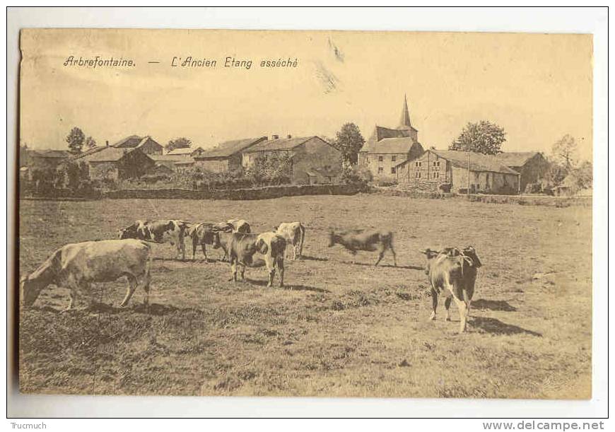 C7887 - Arbrefontaine - L' Ancien Etang Asséché - Lierneux